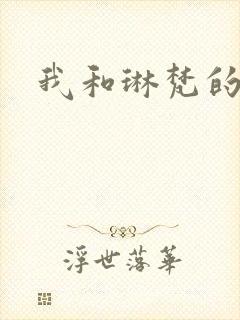 我和琳梵的故事