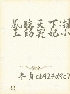 凤临天下:摄政王的宠妃小说