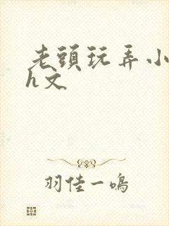 老头玩弄小嫩苞h文