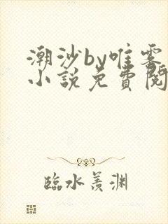 潮沙by唯雾的小说免费阅读笔趣阁封面