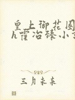 皇上御花园hlh霍冶臻小说