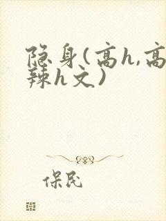 隐身(高h,高辣h文)