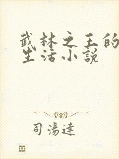 武林之王的退隐生活小说封面