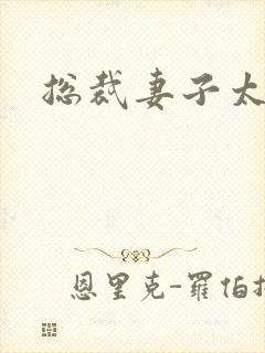 总裁妻子太诱人