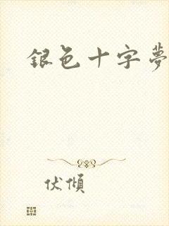 银色十字梦封面
