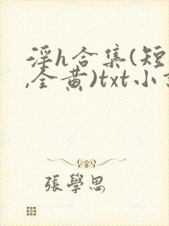 淫h合集(短篇,全黄)txt小说