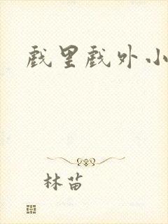 戏里戏外小说封面