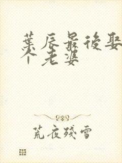 叶辰最后娶了几个老婆封面