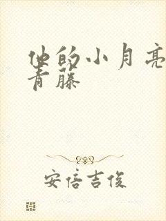 他的小月亮by青藤