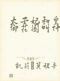 太子妃和皇帝在御花园叫什么小说封面