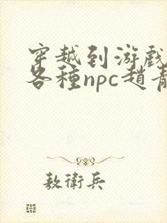 穿越到游戏里和各种npc赵青蔓封面