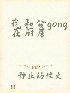 我和公gong在厨房