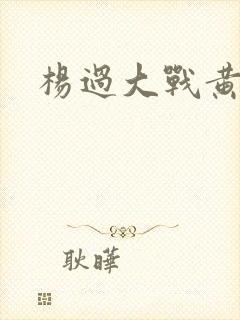 杨过大战黄蓉封面