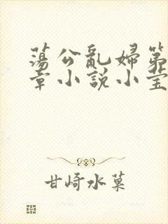荡公乱妇第51章小说小莹