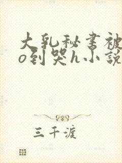 大乳秘书被cao到哭h小说