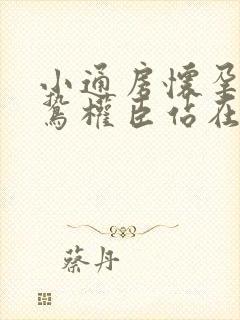 小通房怀孕了阴鸷权臣站在身前封面