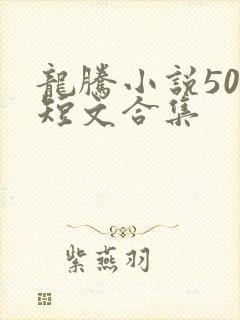 龙腾小说500短文合集