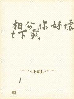 相公你好坏txt下载封面