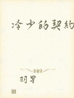 冷少的契约囚奴