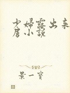 少妇露出来大乳房小说封面