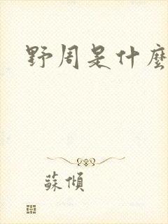 野周是什么意思