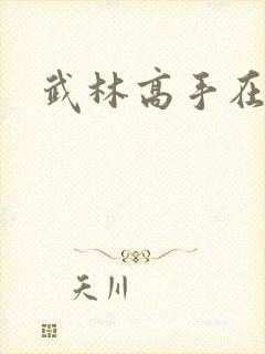 武林高手在异界