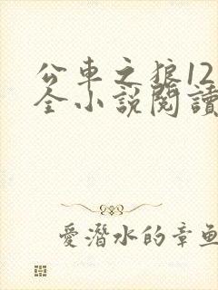 公车之狼12集全小说阅读