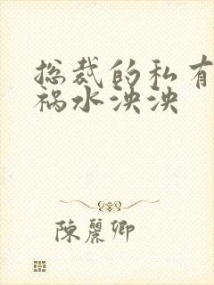 总裁的私有宝贝祸水泱泱