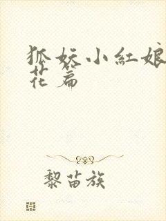 狐妖小红娘两生花篇封面