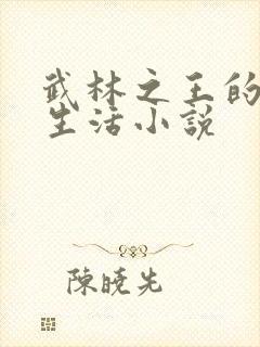 武林之王的退隐生活小说封面