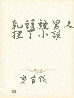 乳头被男人使劲捏了小说