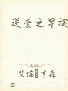 逆袭之星途闪耀封面