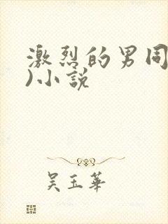 激烈的男同(h)小说