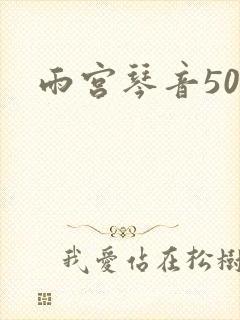 雨宫琴音500封面