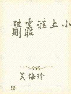 破云淮上小说未删版