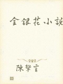 金银花小说乐可