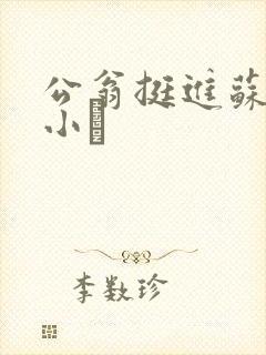 公翁挺进苏玥的小泬