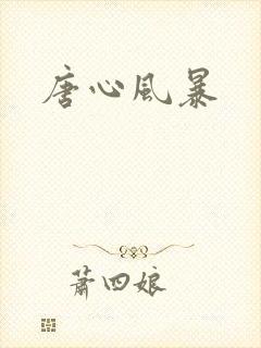 唐心风暴