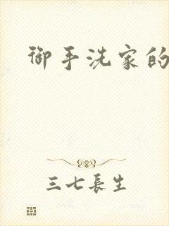 御手洗家的墙洞封面