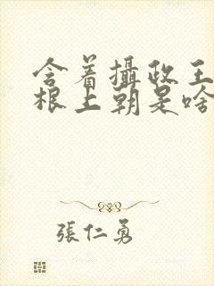 含着摄政王的紫根上朝是啥小说封面