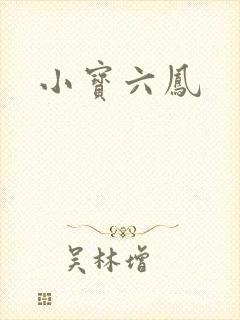 小宝六凤