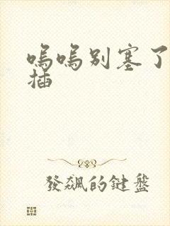 呜呜别塞了啊抽插