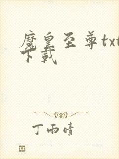 魔皇至尊txt下载封面