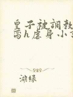 皇子被调教成禁脔h虐身小说最新章节封面