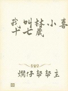 我叫林小喜今年十七岁封面