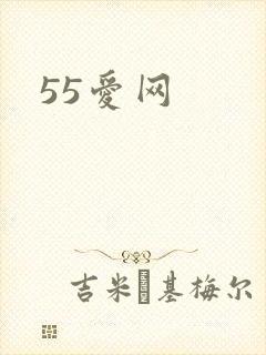 55爱网