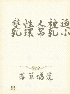 双性人被迫戴上乳环吊乳小说