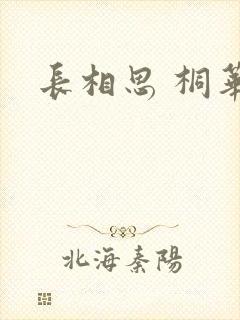 长相思 桐华封面