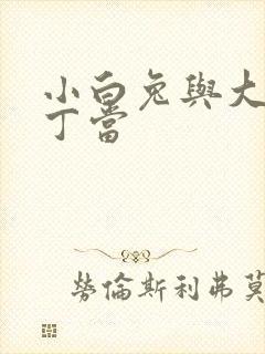 小白兔与大灰狼丁当封面