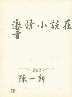 激情小说在线观看